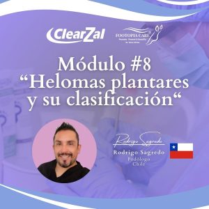 Módulo 8 | Helomas plantares y su clasificación